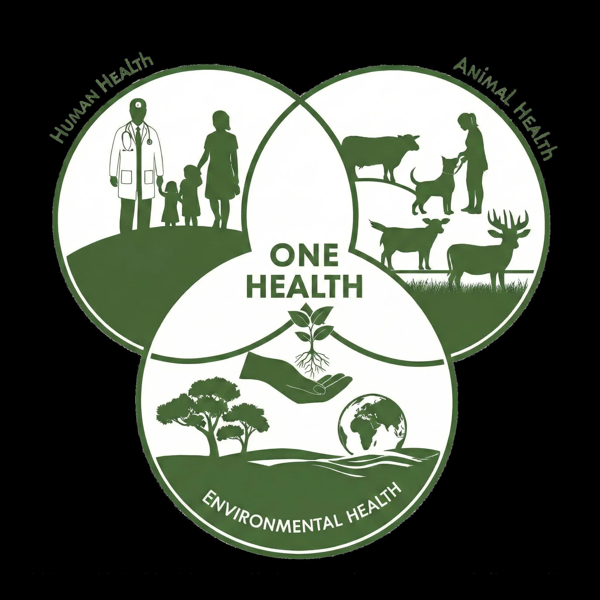 Bigan OneHealth - Conexión entre salud humana, animal y ambiental